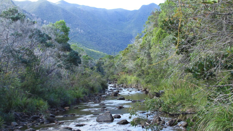 La rivière Confiance