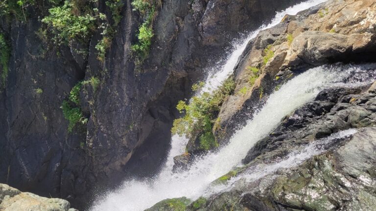 Canala : cascades dans un écrin de verdure