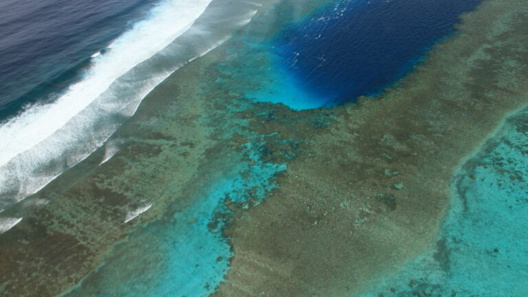 SURVOLER LE LAGON EN ULM : UNE EXPERIENCE  MEMORABLE