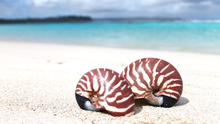 Maré : une île préservée