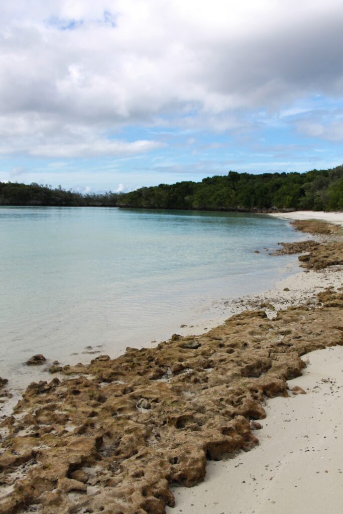 L’attribut alt de cette image est vide, son nom de fichier est IMG_0727-1-683x1024.jpg.