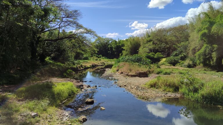Mes coins à running à Koné