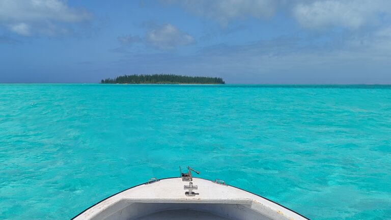 Un Noël à l&rsquo;île des pins